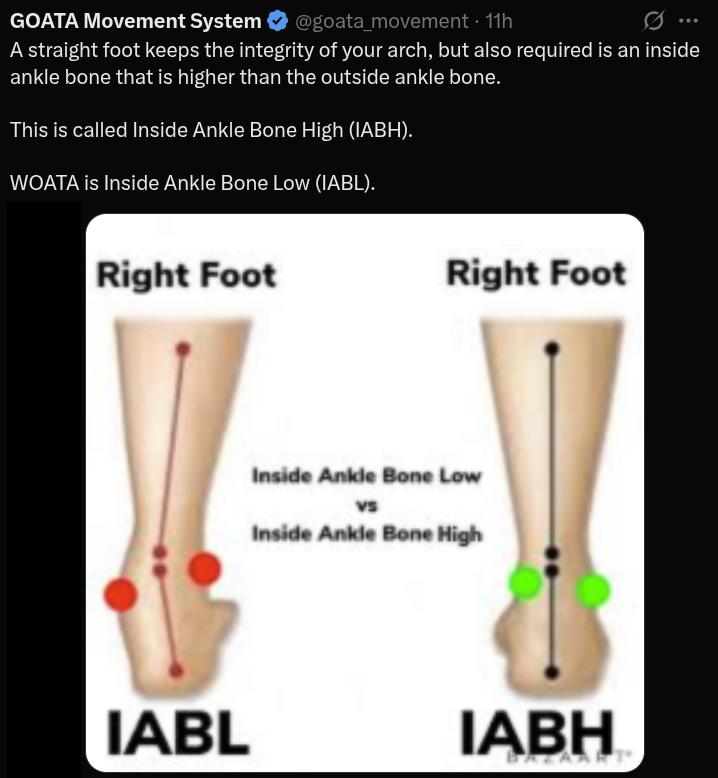 GOATA IABH vs. IABL Diagram – Sequoian